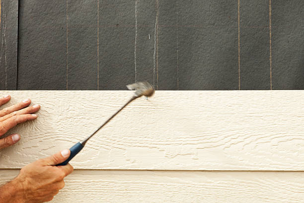 Best Stucco Siding  in Cambridge, IL